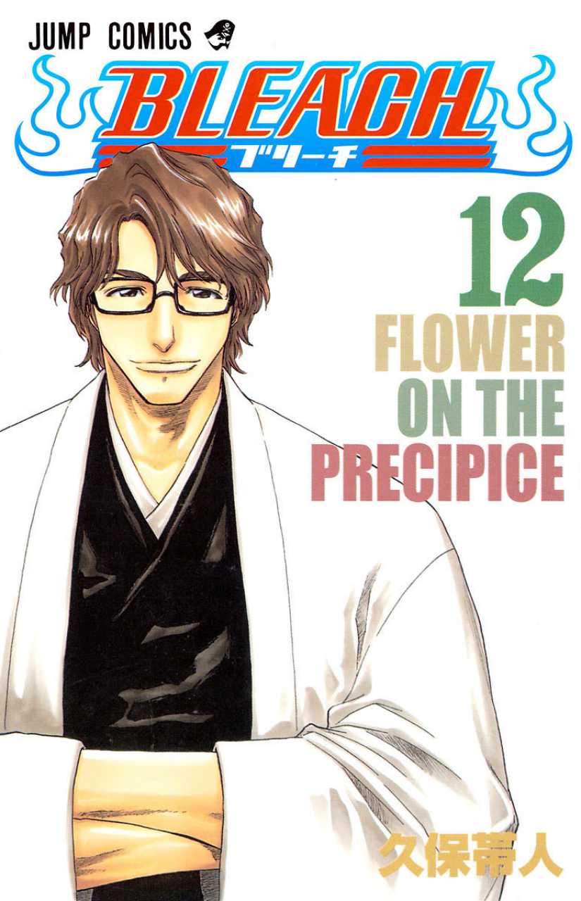 Bleach TP Vol. 12 (Japanese Edition)
