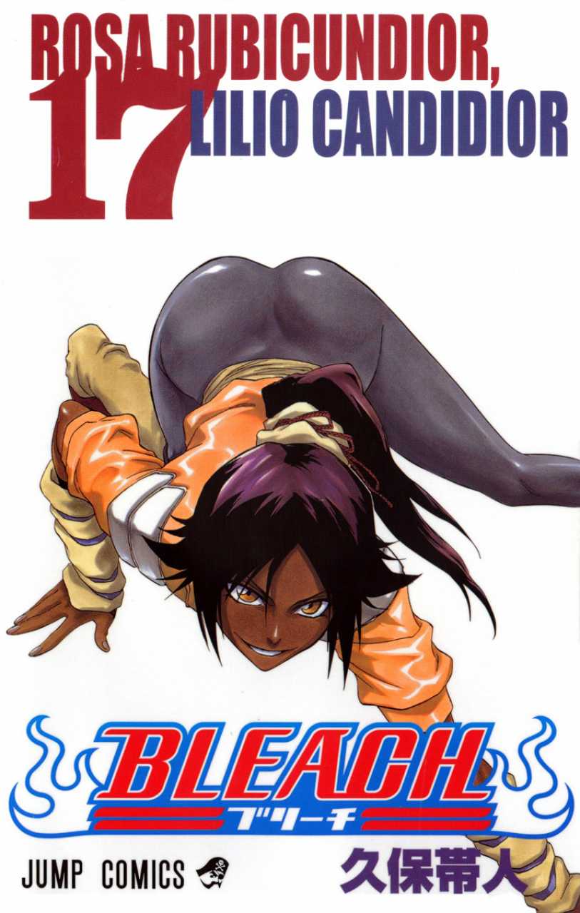 Bleach TP Vol. 17 (Japanese Edition)