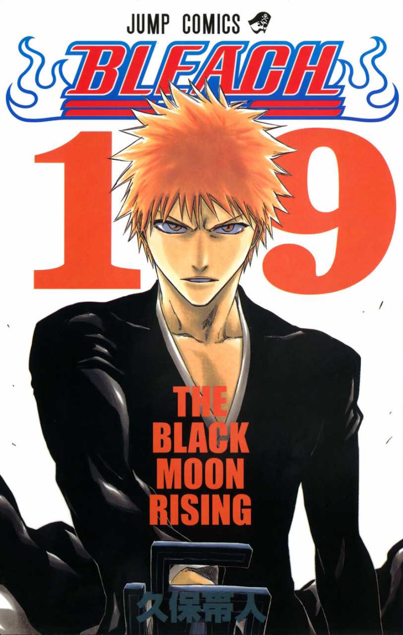 Bleach TP Vol. 19 (Japanese Edition)