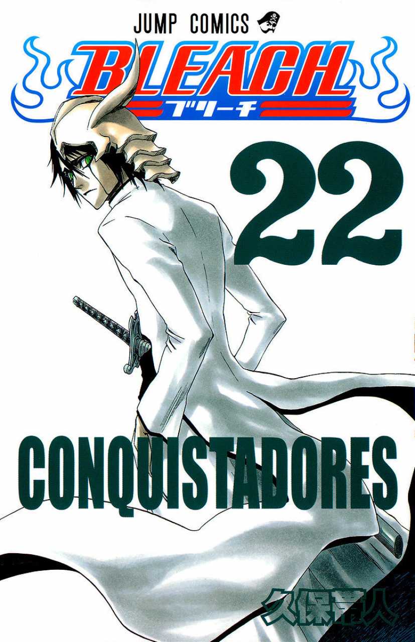 Bleach TP Vol. 22 (Japanese Edition)