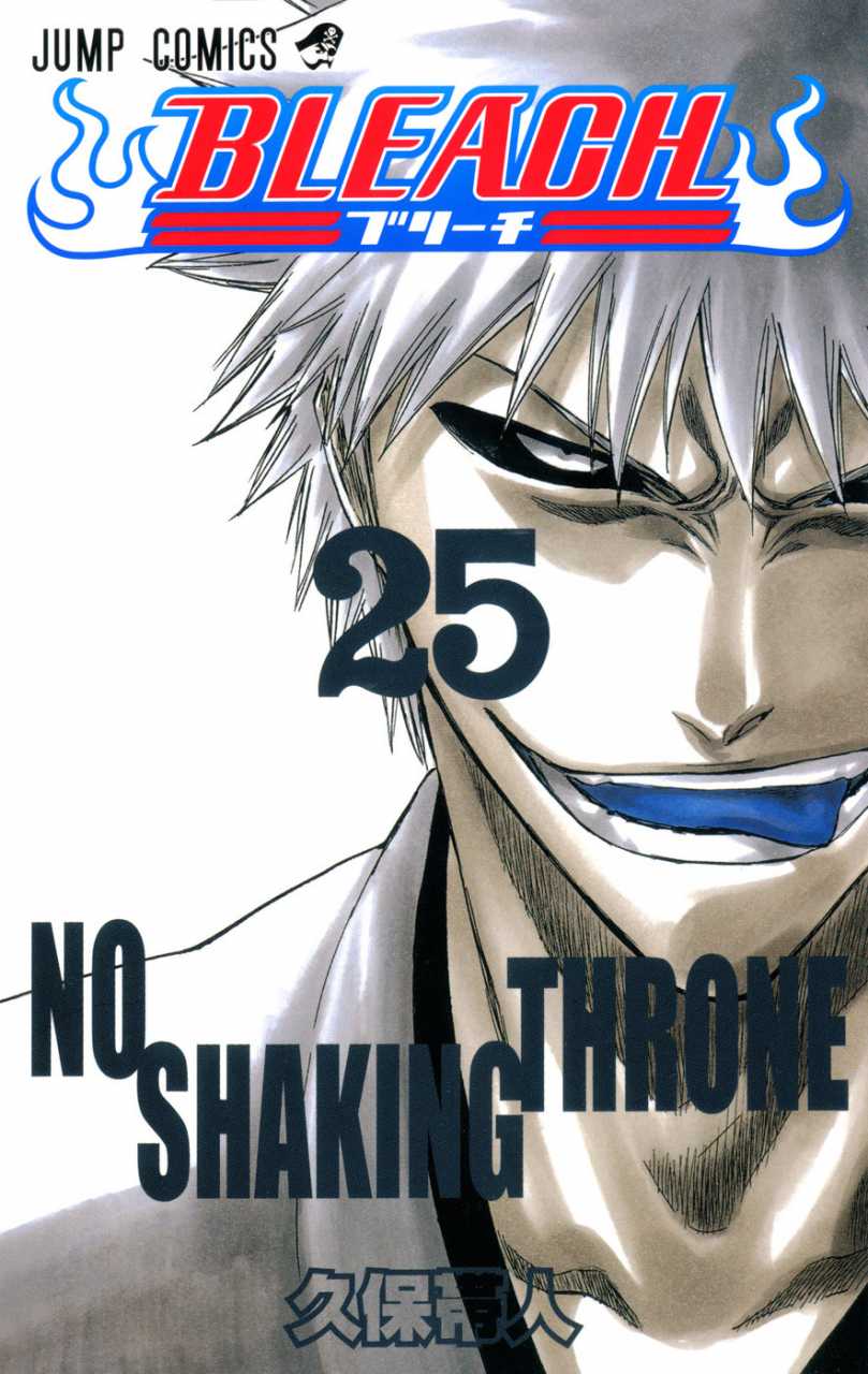 Bleach TP Vol. 25 (Japanese Edition)