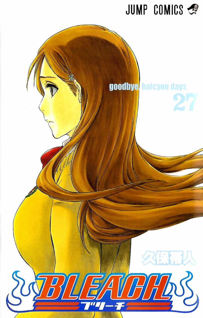 Bleach TP Vol. 27 (Japanese Edition)