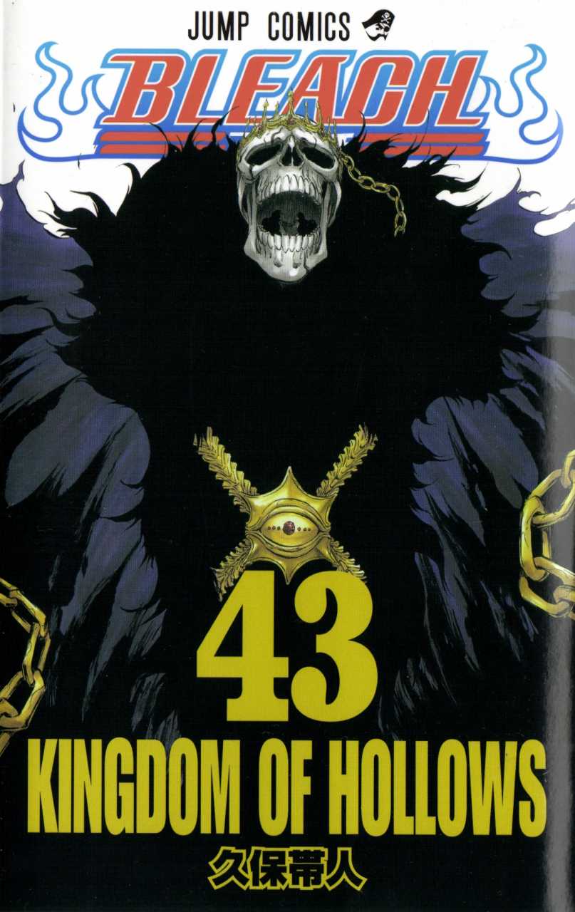 Bleach TP Vol. 43 (Japanese Edition)