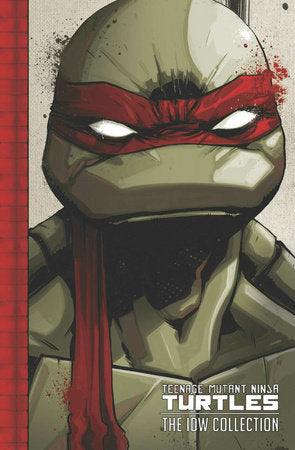 TMNT: THE IDW COLLECTION VOL. 1