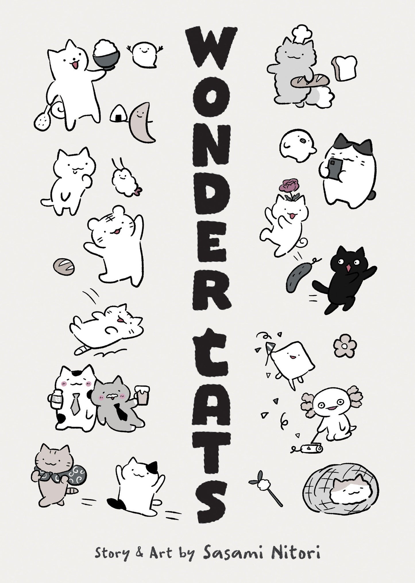 WONDER CATS