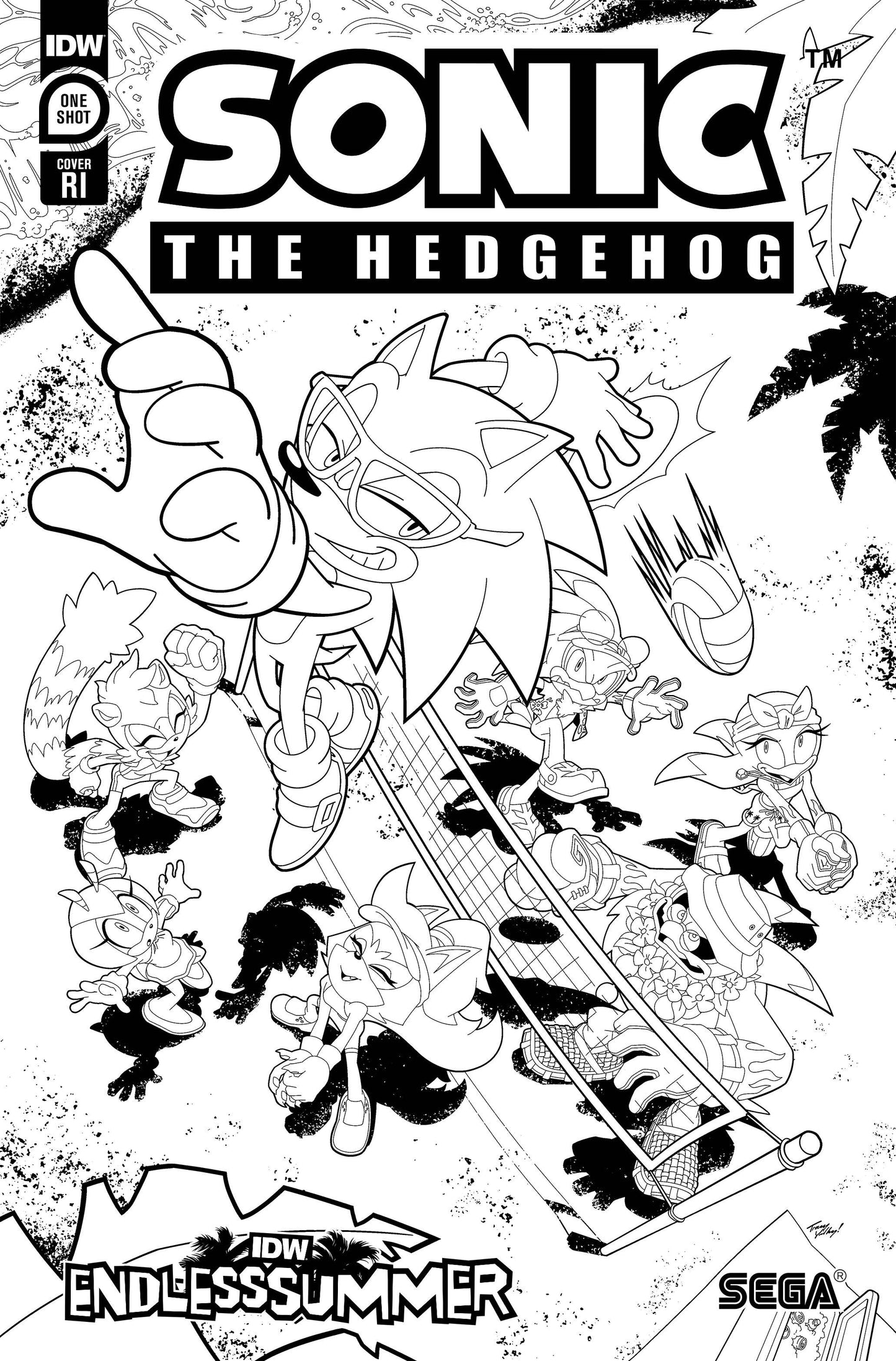 Sonic the Hedgehog IDW Endless Summer 1:10 Ratio Variant