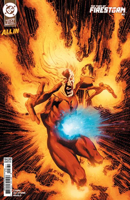 FURY OF FIRESTORM #8 (OF 9) CVR C MIKE PERKINS CARD STOCK VAR