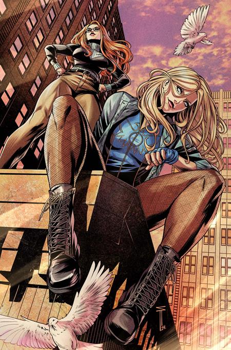 Birds of Prey #18 CVR B