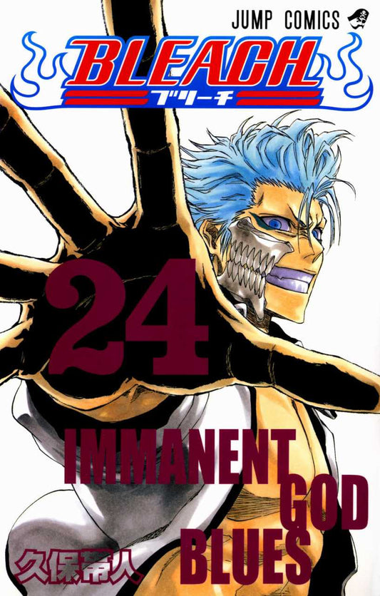 Bleach TP Vol. 24 (Japanese Edition)