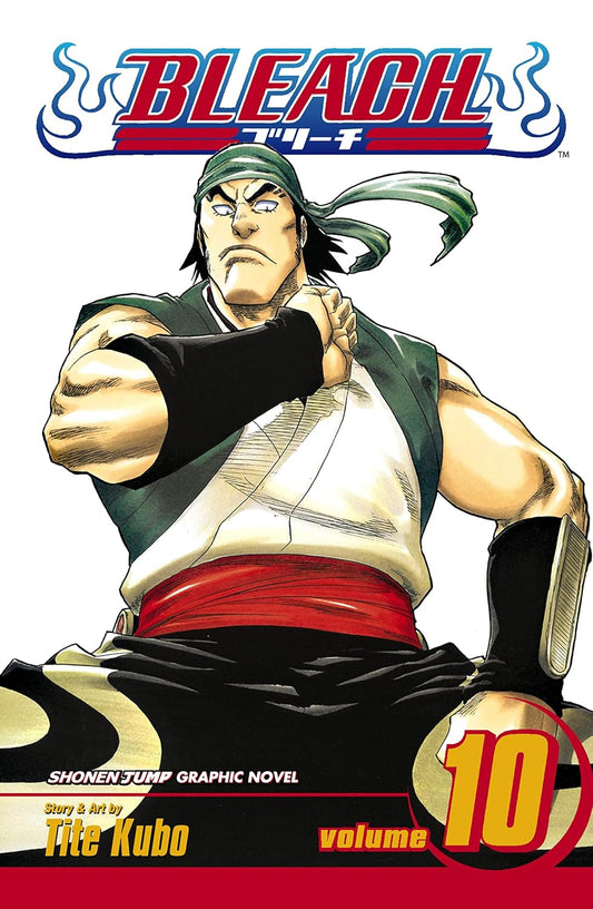 Bleach Vol. 10