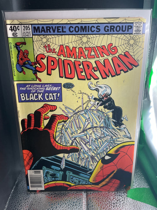 AMAZING SPIDER-MAN, VOL. 1  #205