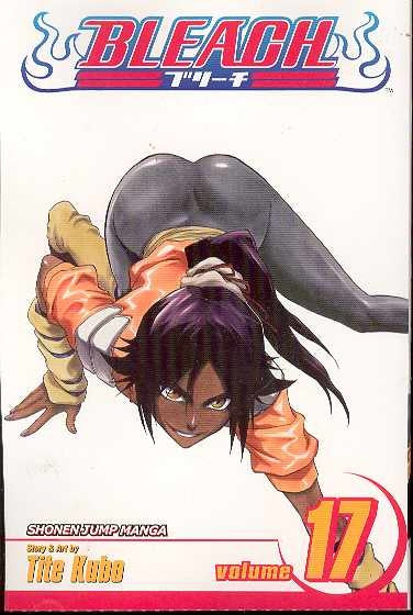BLEACH TP VOL 17 (C: 1-0-0)
