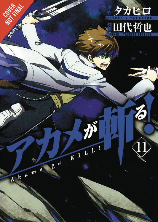 AKAME GA KILL GN VOL 11 (C: 1-1-0)