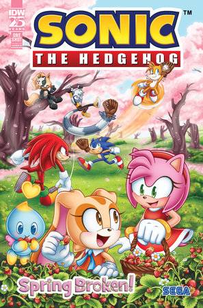 SONIC THE HEDGEHOG SPRING BROKEN #1 CVR B