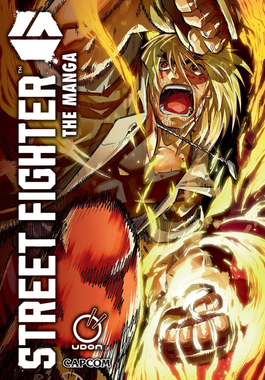 STREET FIGHTER 6 THE MANGA GN (C: 0-1-2)