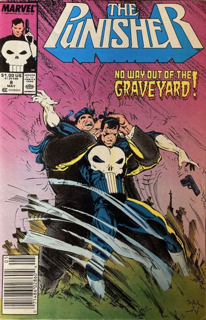 Punisher, Vol. 2 #8